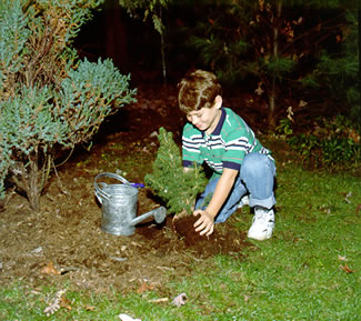 planting a tree Tu BiShevat  healthy food New year of the trees environmental awareness tu bishevat Jewish books learning Judaism textbooks Hebrew textbook text book learn Hebrew language software  teach Hebrew school curriculum Jewish education educational material Behrman House Judaica publishing teaching Hebrew schools Jewish teacher resources educators Berman publisher religious school classroom management Jewish video games reading Hebrew teachers resource Jewish software interactive CDs Holocaust Jewish holidays  Israel bar mitzvah training bat mitzvah preparation history teacher’s guide  read Jewish Bible stories Tanakh life cycle mitzvot customs Herbew prayers synagogue culture religion Jeiwsh holiday calendar holidays Jewihs learning Hebrw student worksheets children temple conservative reform Judaism