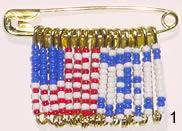 image of an israeli american pin
