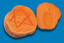 hanukkah seal craft