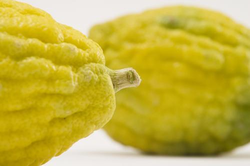 etrog