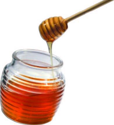 Honey, Honey