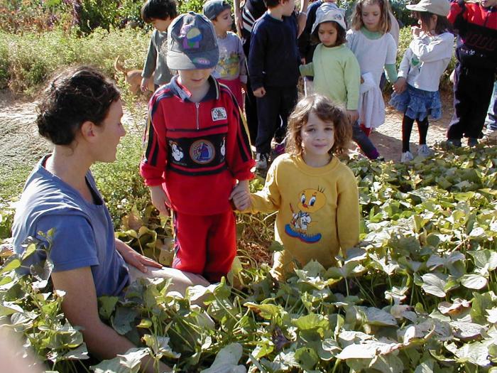Kibbutz Kids and Eco-Fun