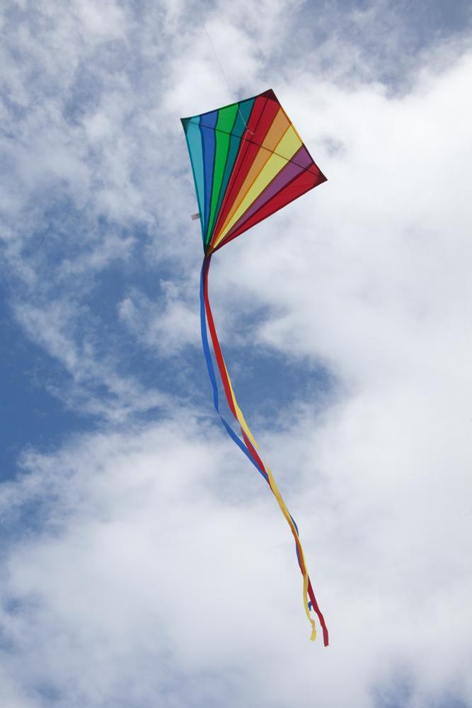 let's go fly a kite! kite