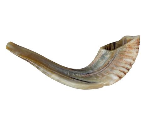 The Secret Shofar
