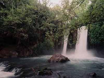 Banias