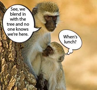 Altruism In The Animal World