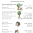 http://www.behrmanhouse.com/sites/default/files/imagecache/library_item_610w/products/images/zman%20likro6.png
