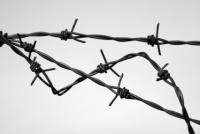 Holocaust