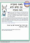 Hineni Prayer Booklet - V'zot HaTorah/Eitz Hayyim Hi (Pack of 5)